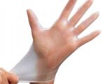 Vinyl Gloves (Powder Free) (One Pair)